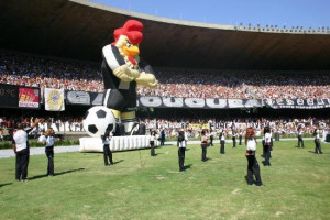 galo-estadio-governador-magalhaes